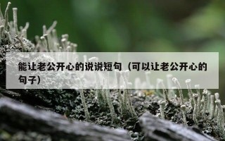 能让老公开心的说说短句（可以让老公开心的句子）