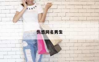 伤感网名男生
