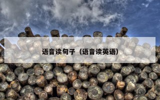 语音读句子（语音读英语）