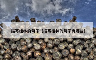 描写桂林的句子（描写桂林的句子有哪些）