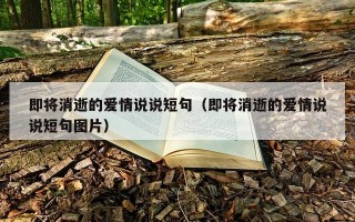 即将消逝的爱情说说短句（即将消逝的爱情说说短句图片）