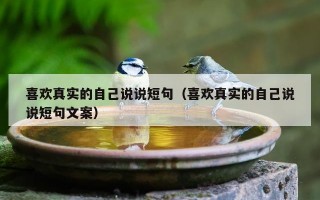 喜欢真实的自己说说短句（喜欢真实的自己说说短句文案）