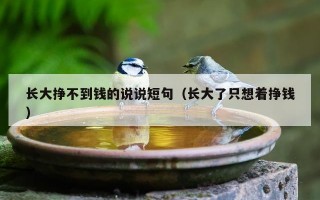 长大挣不到钱的说说短句（长大了只想着挣钱）