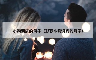 小狗调皮的句子（形容小狗调皮的句子）