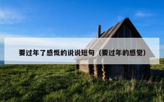 要过年了感慨的说说短句（要过年的感觉）