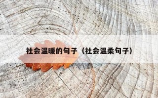 社会温暖的句子（社会温柔句子）