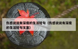 伤感说说有深度的生活短句（伤感说说有深度的生活短句文案）
