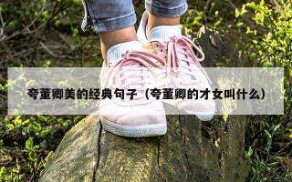 夸董卿美的经典句子（夸董卿的才女叫什么）