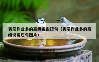 表示作业多的高级说说短句（表示作业多的高级说说短句图片）
