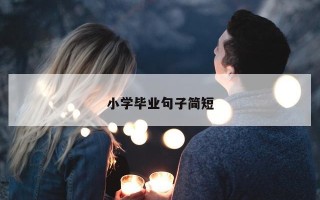 小学毕业句子简短