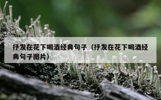 抒发在花下喝酒经典句子（抒发在花下喝酒经典句子图片）