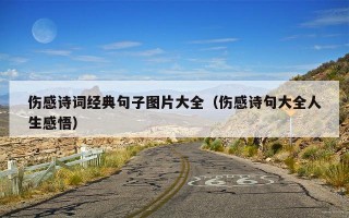 伤感诗词经典句子图片大全（伤感诗句大全人生感悟）