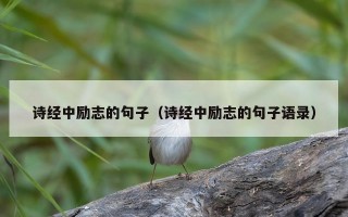 诗经中励志的句子（诗经中励志的句子语录）