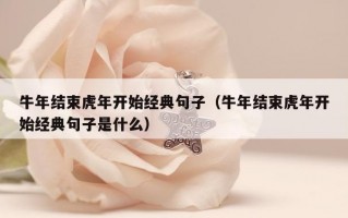 牛年结束虎年开始经典句子（牛年结束虎年开始经典句子是什么）