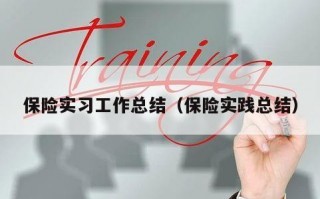 保险实习工作总结（保险实践总结）