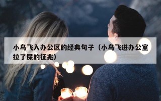 小鸟飞入办公区的经典句子（小鸟飞进办公室拉了屎的征兆）