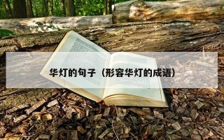 华灯的句子（形容华灯的成语）
