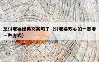 想讨老婆经典文案句子（讨老婆欢心的一百零一种方式）