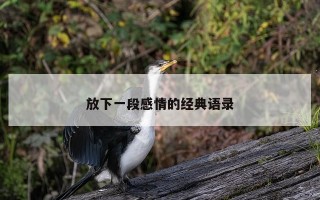 放下一段感情的经典语录