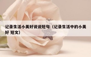 记录生活小美好说说短句（记录生活中的小美好 短文）