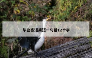 毕业寄语简短一句话12个字