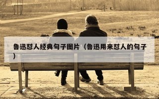 鲁迅怼人经典句子图片（鲁迅用来怼人的句子）