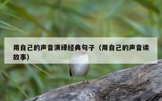 用自己的声音演绎经典句子（用自己的声音读故事）