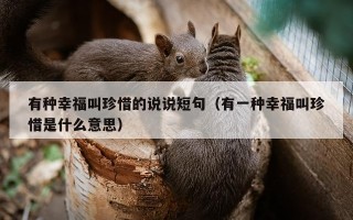 有种幸福叫珍惜的说说短句（有一种幸福叫珍惜是什么意思）