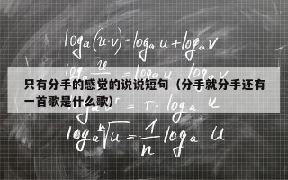 只有分手的感觉的说说短句（分手就分手还有一首歌是什么歌）