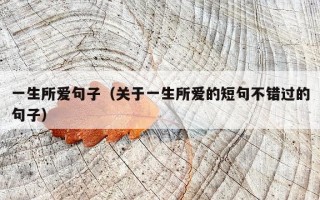 一生所爱句子（关于一生所爱的短句不错过的句子）