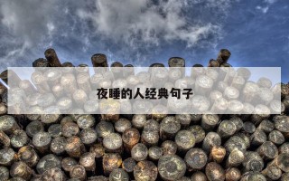 夜睡的人经典句子