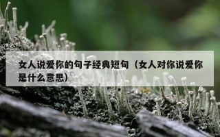 女人说爱你的句子经典短句（女人对你说爱你是什么意思）