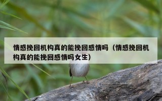 情感挽回机构真的能挽回感情吗（情感挽回机构真的能挽回感情吗女生）
