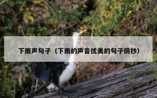 下雨声句子（下雨的声音优美的句子摘抄）