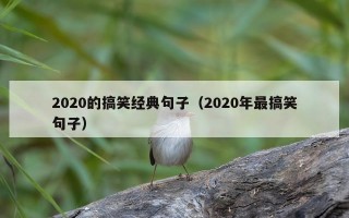 2020的搞笑经典句子（2020年最搞笑句子）