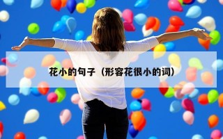 花小的句子（形容花很小的词）