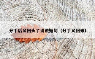 分手后又回头了说说短句（分手又回来）