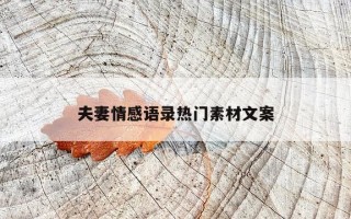 夫妻情感语录热门素材文案