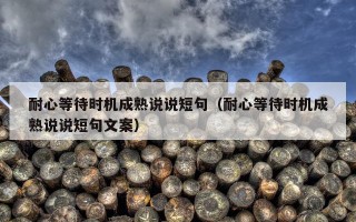 耐心等待时机成熟说说短句（耐心等待时机成熟说说短句文案）