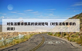 对生活要求很高的说说短句（对生活有要求的说说）