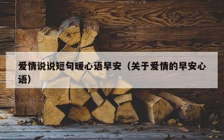 爱情说说短句暖心语早安（关于爱情的早安心语）