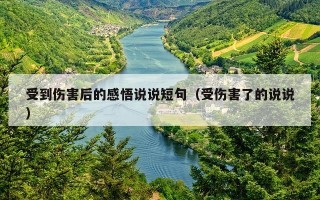 受到伤害后的感悟说说短句（受伤害了的说说）