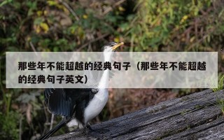 那些年不能超越的经典句子（那些年不能超越的经典句子英文）