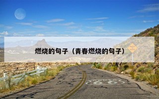 燃烧的句子（青春燃烧的句子）