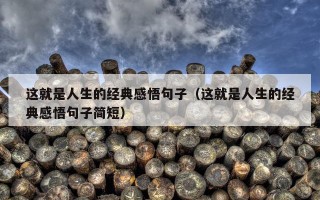 这就是人生的经典感悟句子（这就是人生的经典感悟句子简短）
