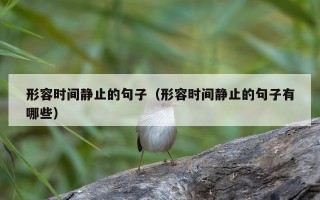 形容时间静止的句子（形容时间静止的句子有哪些）