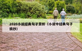 2020小说经典句子赏析（小说中经典句子摘抄）