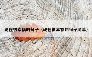 现在很幸福的句子（现在很幸福的句子简单）