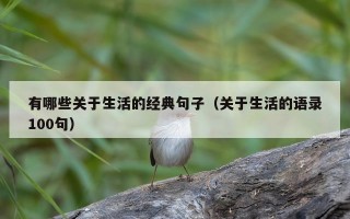 有哪些关于生活的经典句子（关于生活的语录100句）