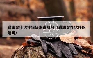 感谢合作伙伴信任说说短句（感谢合作伙伴的短句）